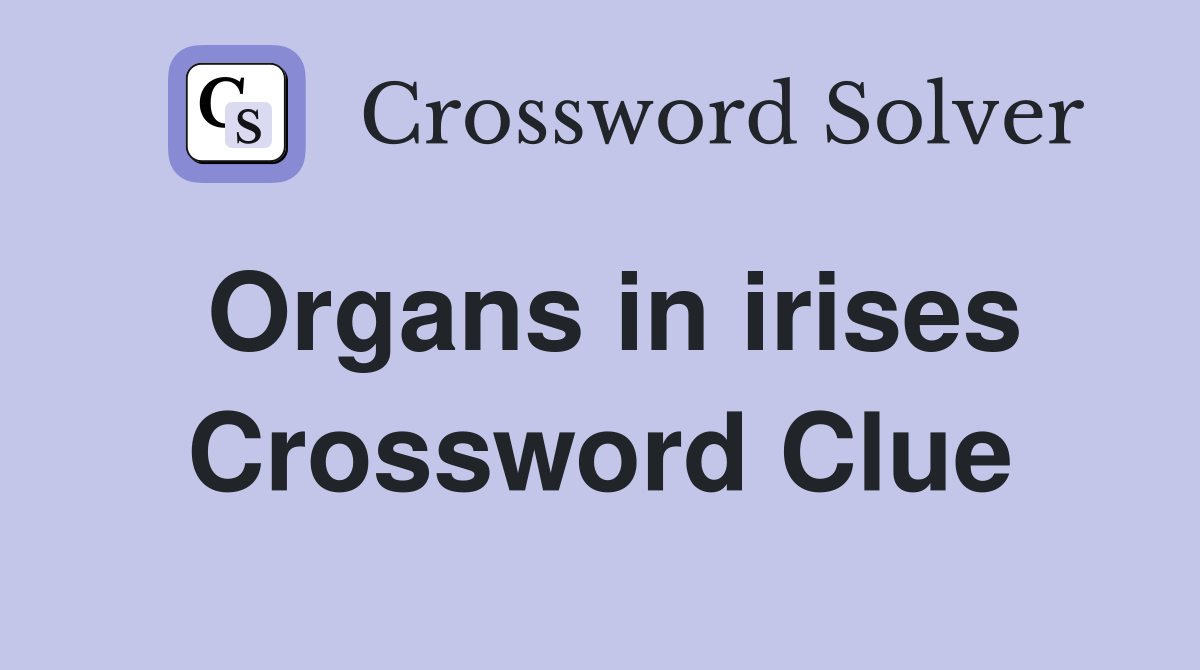 Organs in irises Crossword Clue