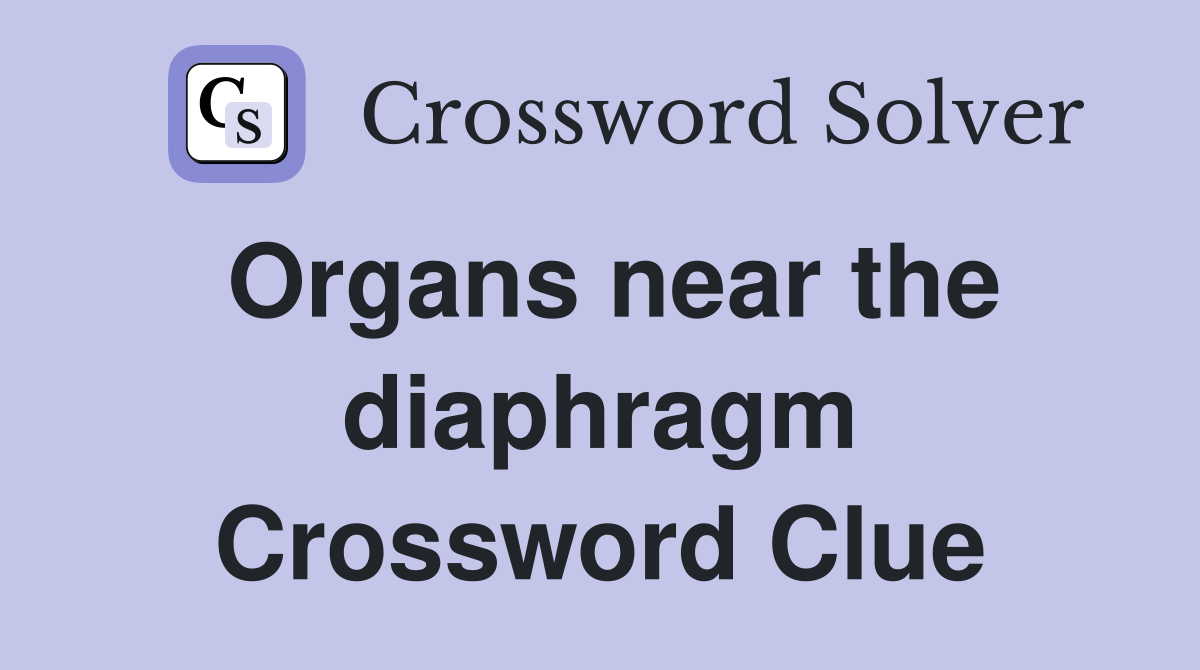 Organs near the diaphragm Crossword Clue