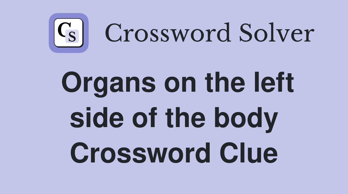 Organs on the left side of the body Crossword Clue