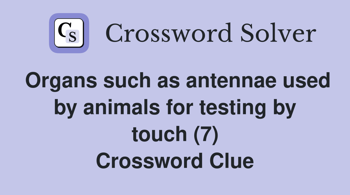 Organs such as antennae used by animals for testing by touch (7) Crossword Clue