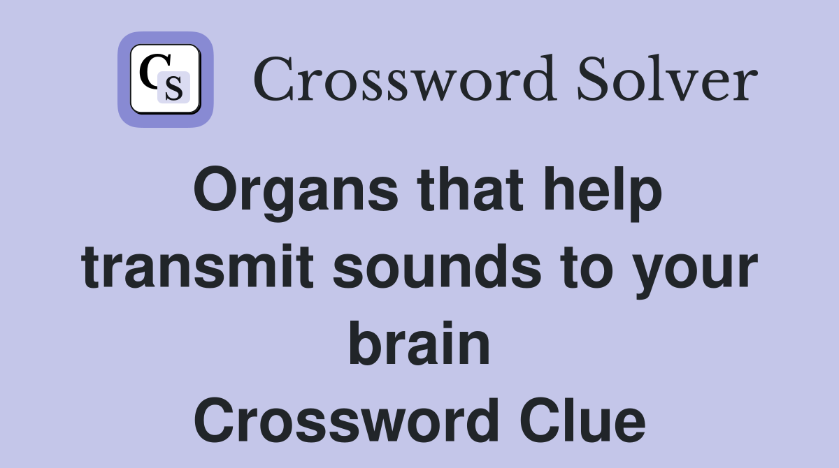 Organs that help transmit sounds to your brain Crossword Clue