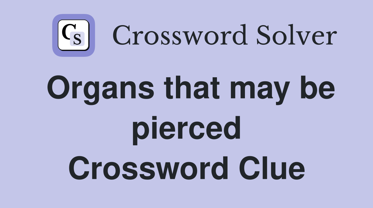 Organs that may be pierced Crossword Clue