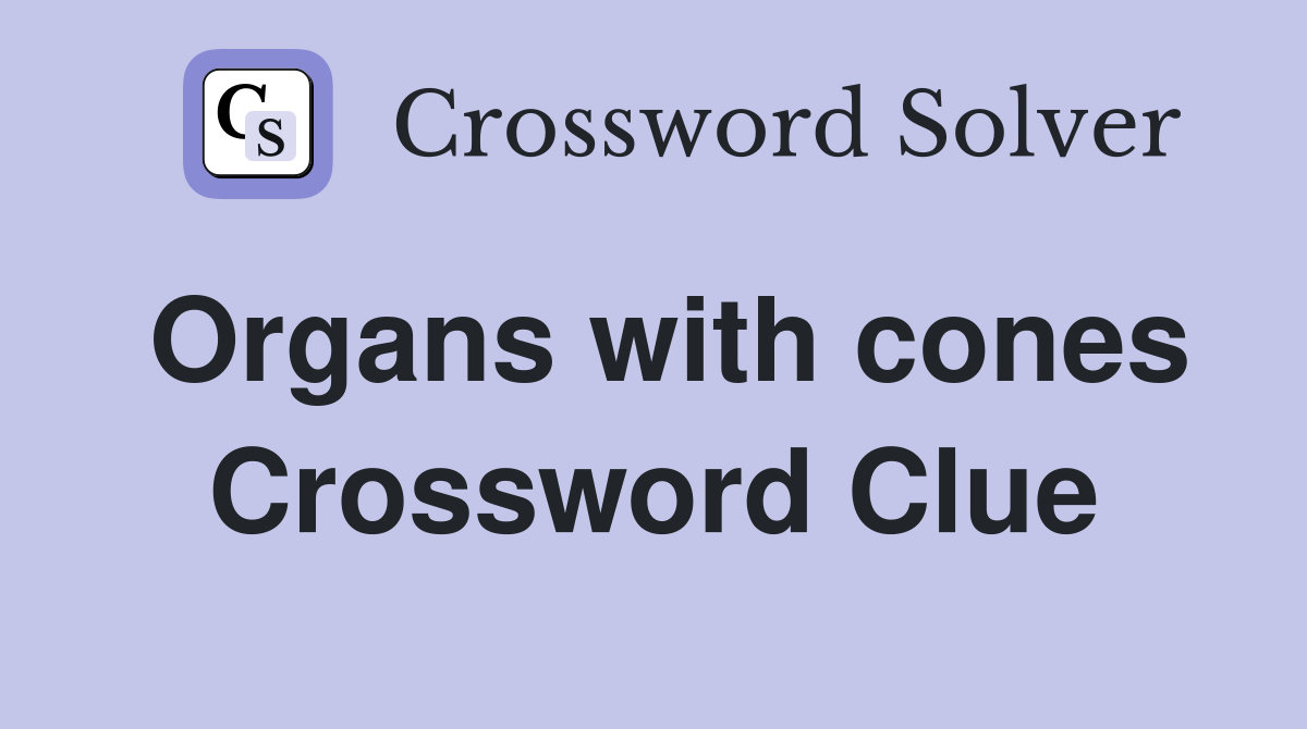 Organs with cones Crossword Clue