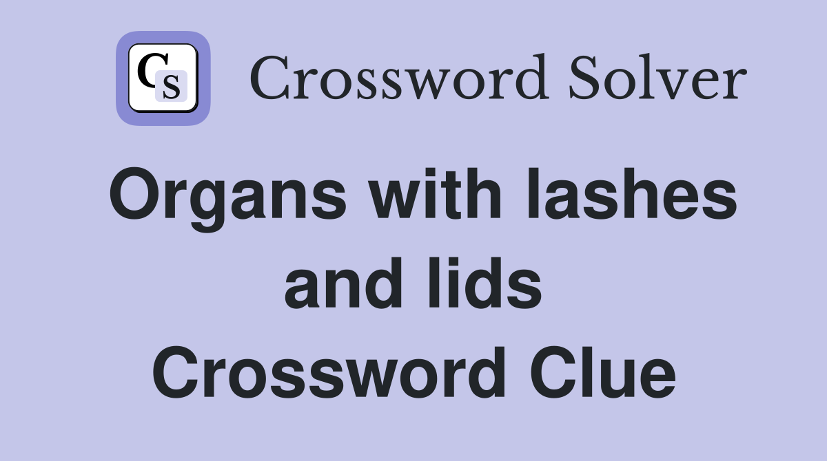 Organs with lashes and lids Crossword Clue