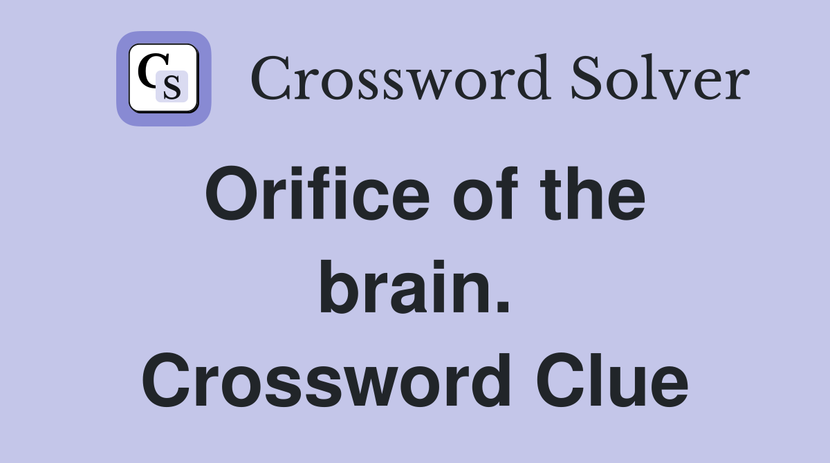 Orifice of the brain. Crossword Clue