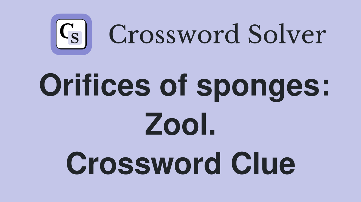 Orifices of sponges: Zool. Crossword Clue