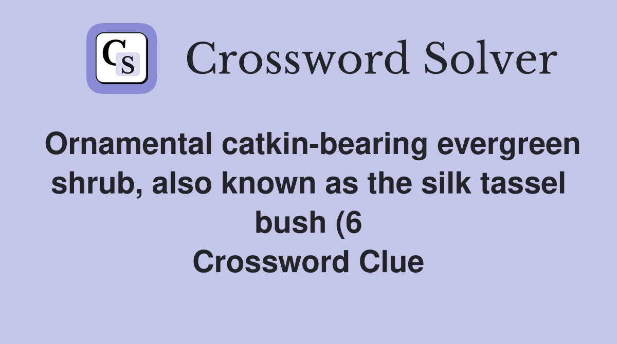 Ornamental catkin bearing evergreen shrub also known as the silk Ornamental catkin bearing evergreen shrub also known as the silk