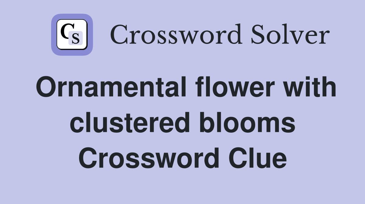 Ornamental flower with clustered blooms Crossword Clue
