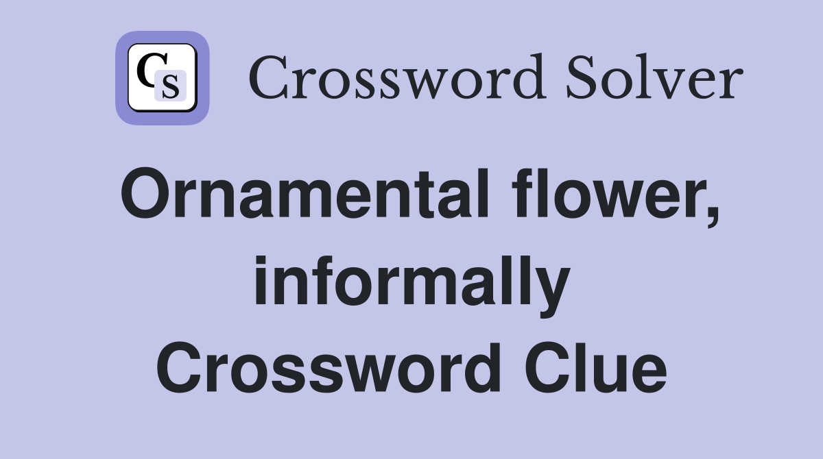 Ornamental flower, informally Crossword Clue