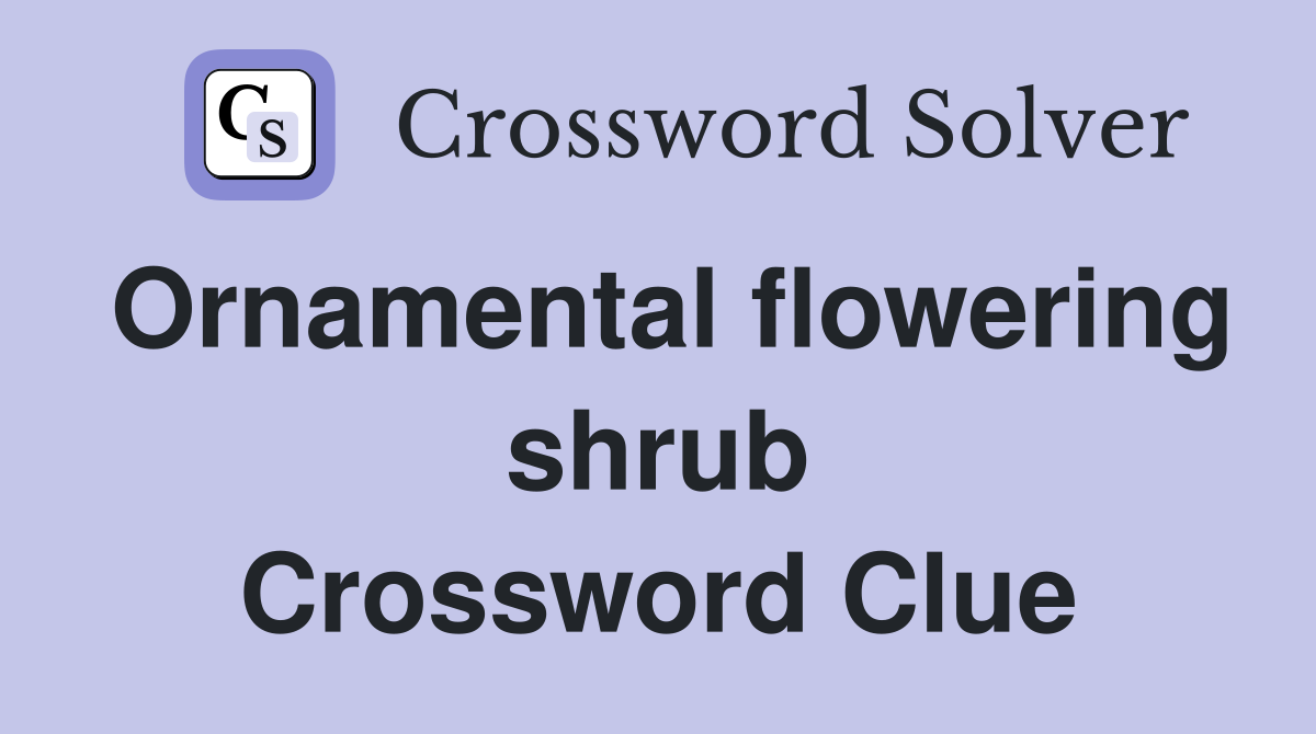 Ornamental flowering shrub Crossword Clue