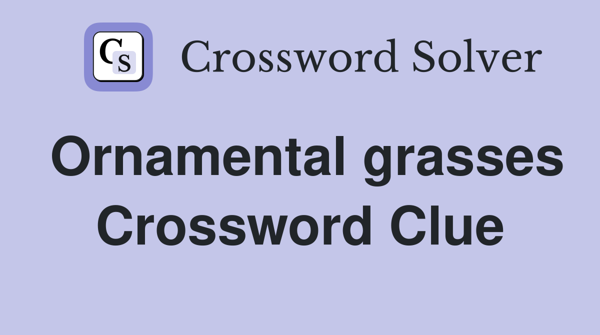 Ornamental grasses Crossword Clue