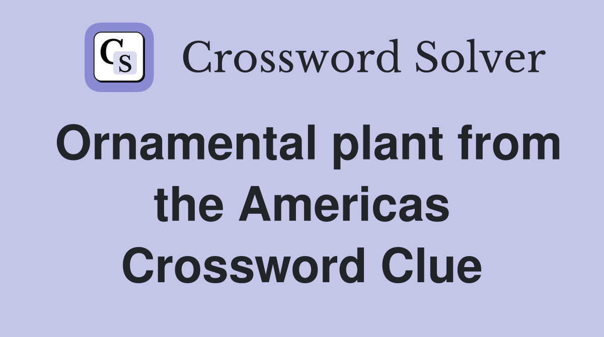 Ornamental plant from the Americas Crossword Clue