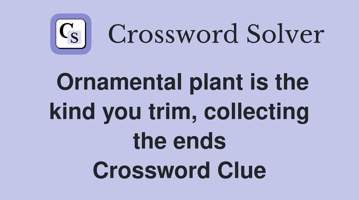 Ornamental plant is the kind you trim, collecting the ends Crossword Clue