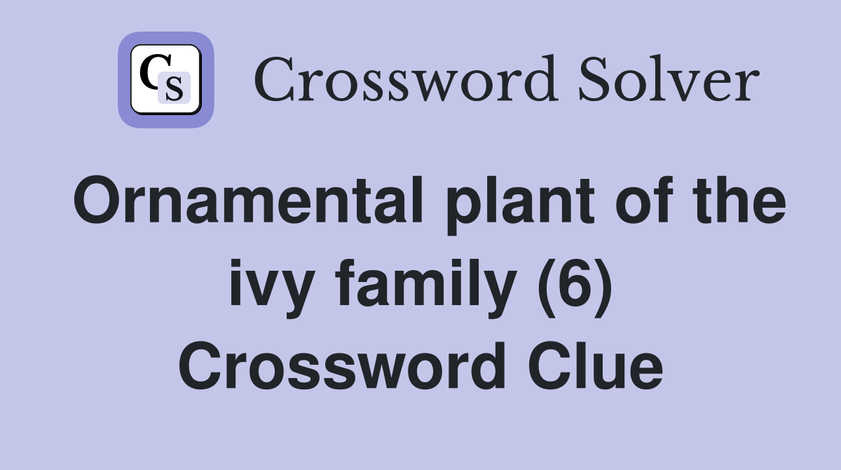 Ornamental plant of the ivy family (6) Crossword Clue