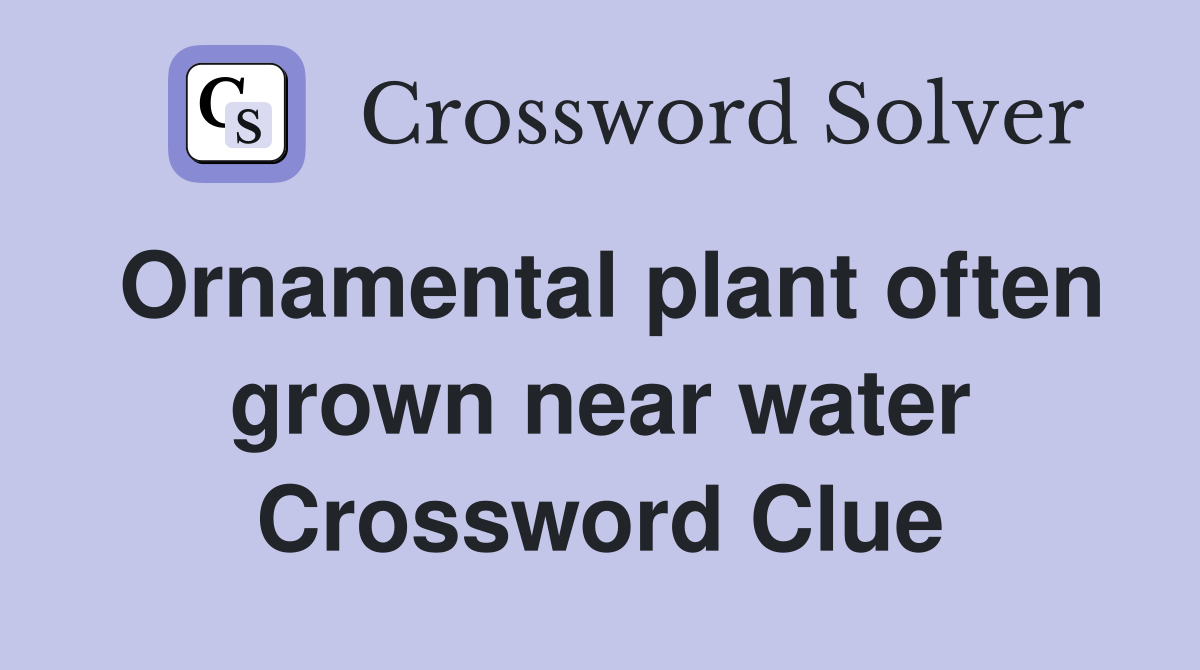 Ornamental plant often grown near water Crossword Clue