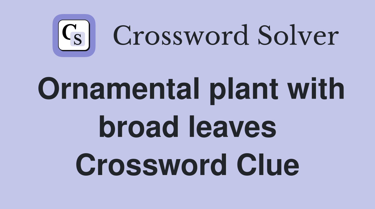 Ornamental plant with broad leaves Crossword Clue