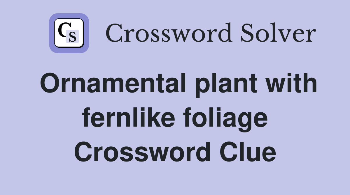 Ornamental plant with fernlike foliage Crossword Clue