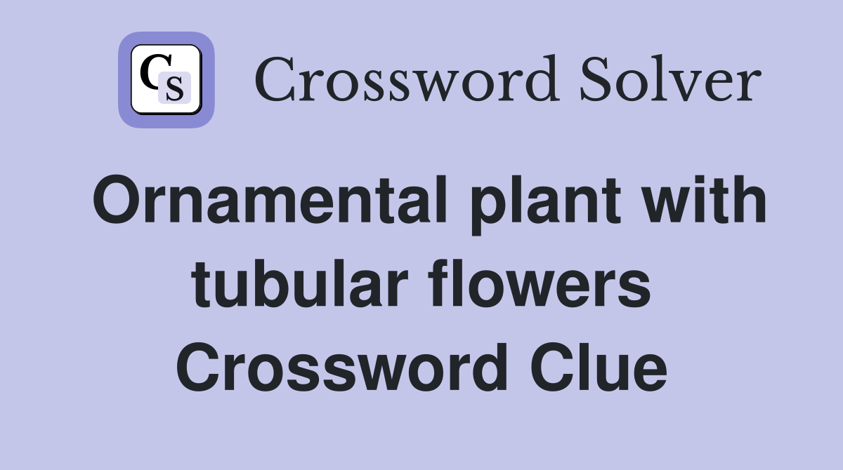 Ornamental plant with tubular flowers Crossword Clue