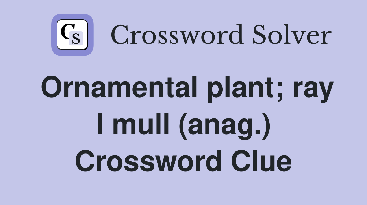 Ornamental plant; ray I mull (anag.) Crossword Clue