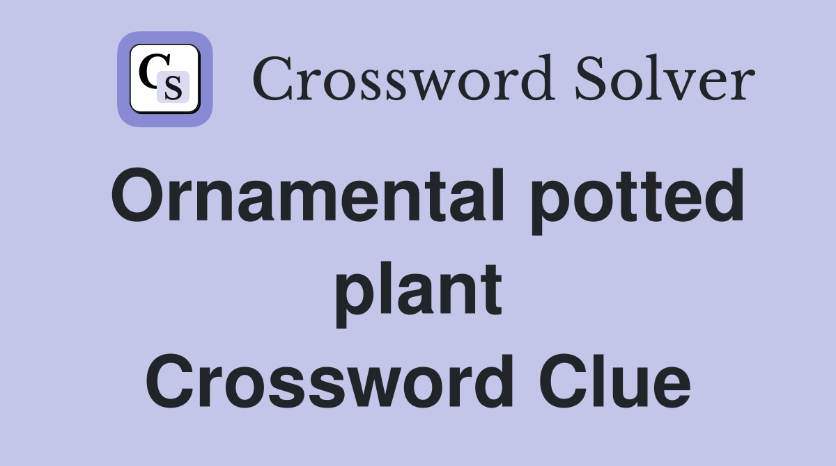 Ornamental potted plant Crossword Clue
