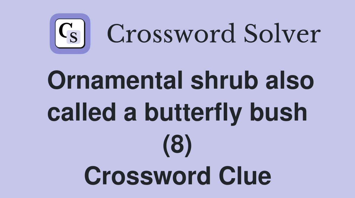 Ornamental shrub also called a butterfly bush (8) Crossword Clue