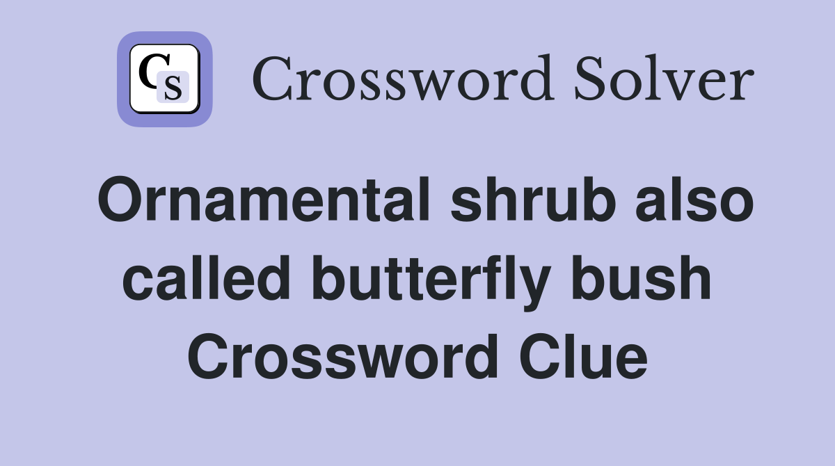 Ornamental shrub also called butterfly bush Crossword Clue