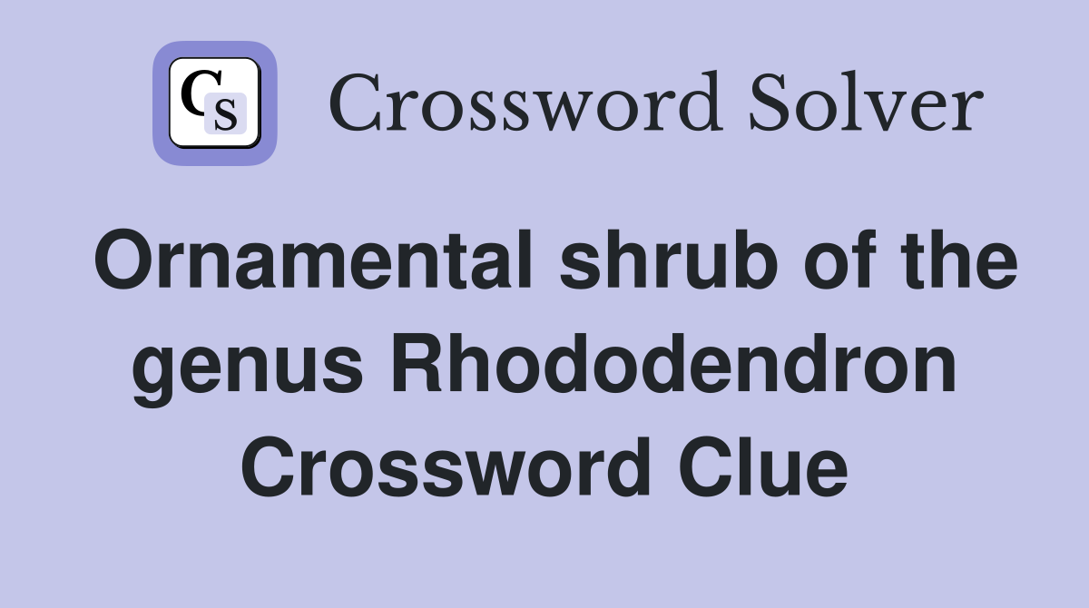 Ornamental shrub of the genus Rhododendron Crossword Clue