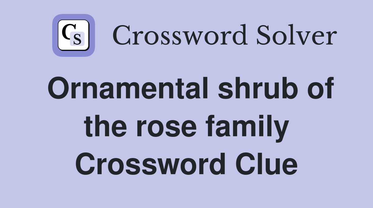 Ornamental shrub of the rose family Crossword Clue