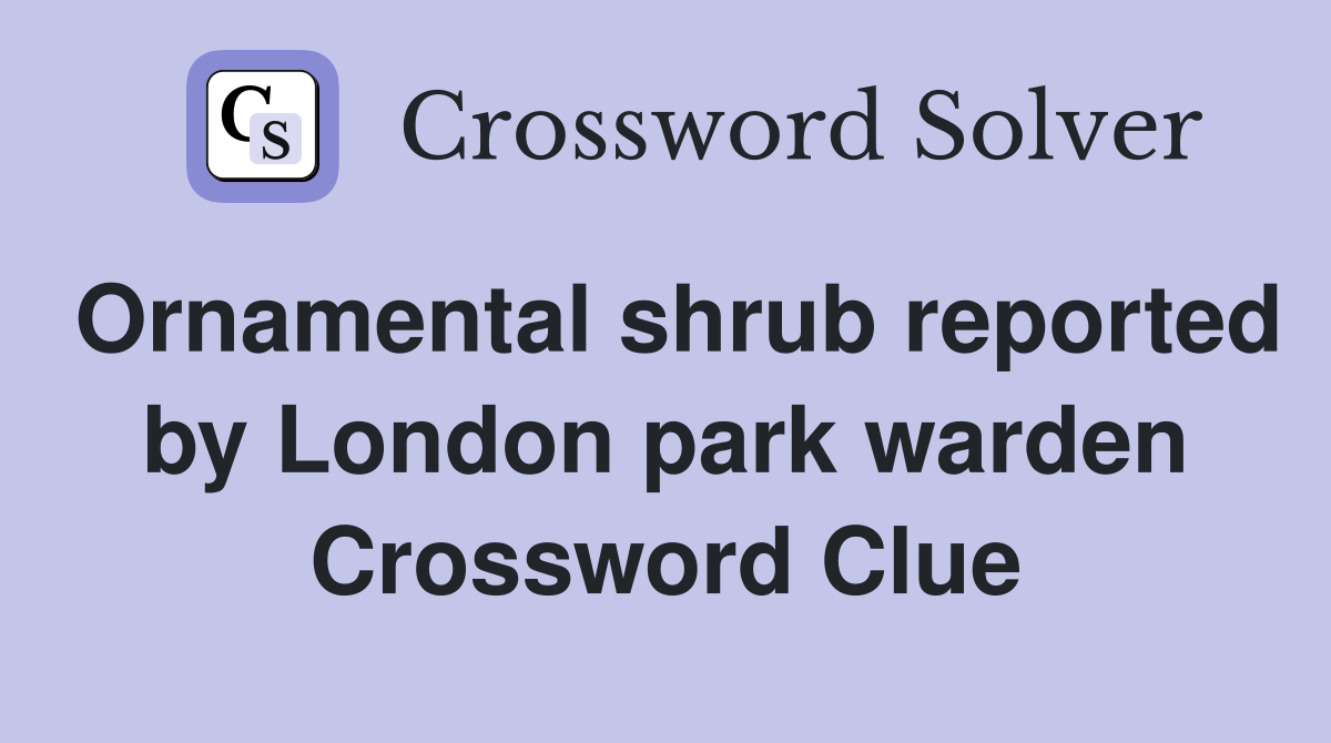 Ornamental shrub reported by London park warden Crossword Clue