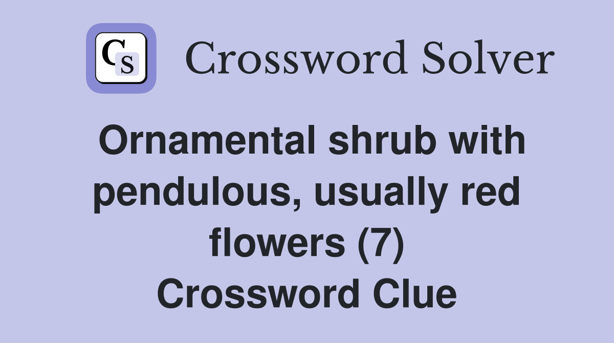 Ornamental shrub with pendulous, usually red flowers (7) Crossword Clue
