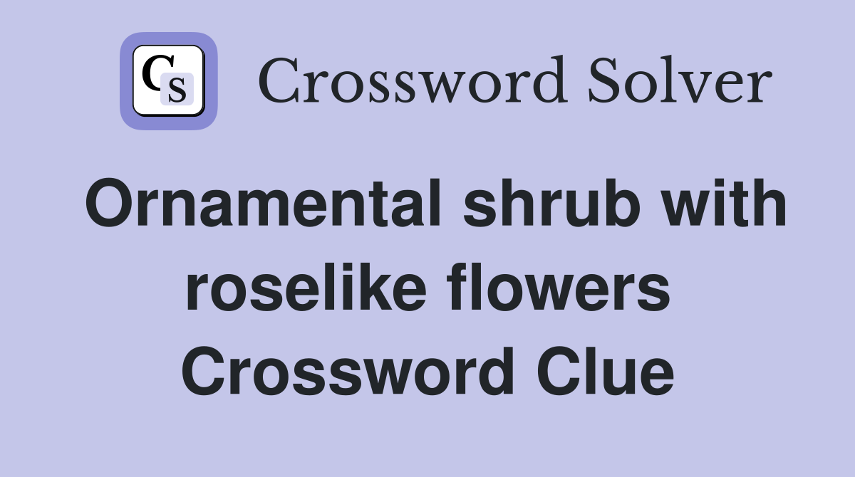 Ornamental shrub with roselike flowers Crossword Clue