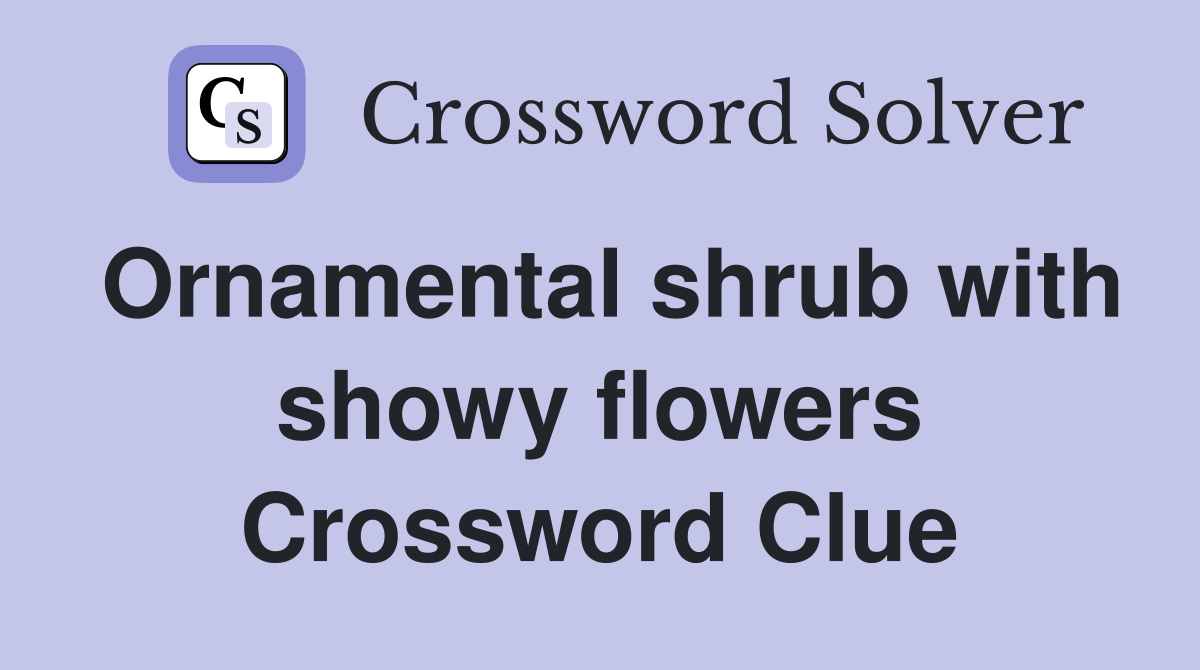 Ornamental shrub with showy flowers Crossword Clue