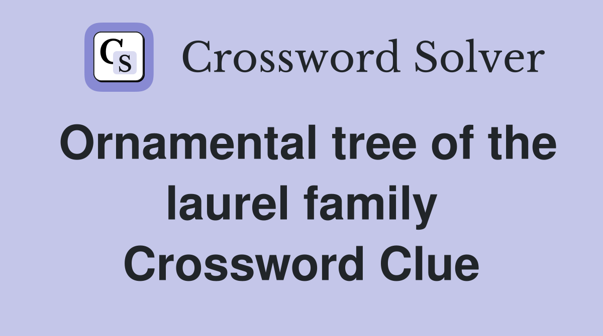 Ornamental tree of the laurel family Crossword Clue
