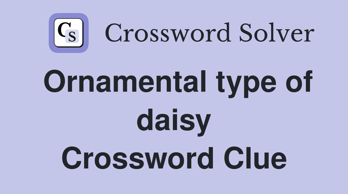 Ornamental type of daisy Crossword Clue