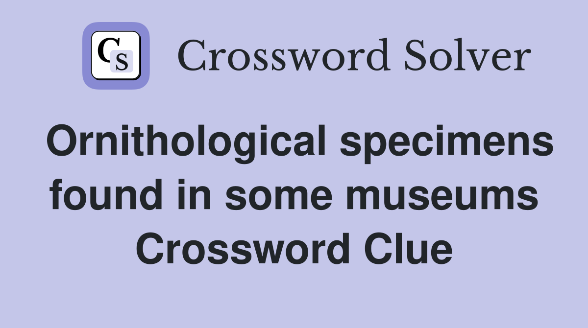 Ornithological specimens found in some museums Crossword Clue