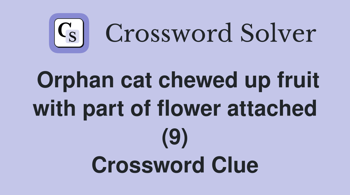 Orphan cat chewed up fruit with part of flower attached (9) Crossword Clue