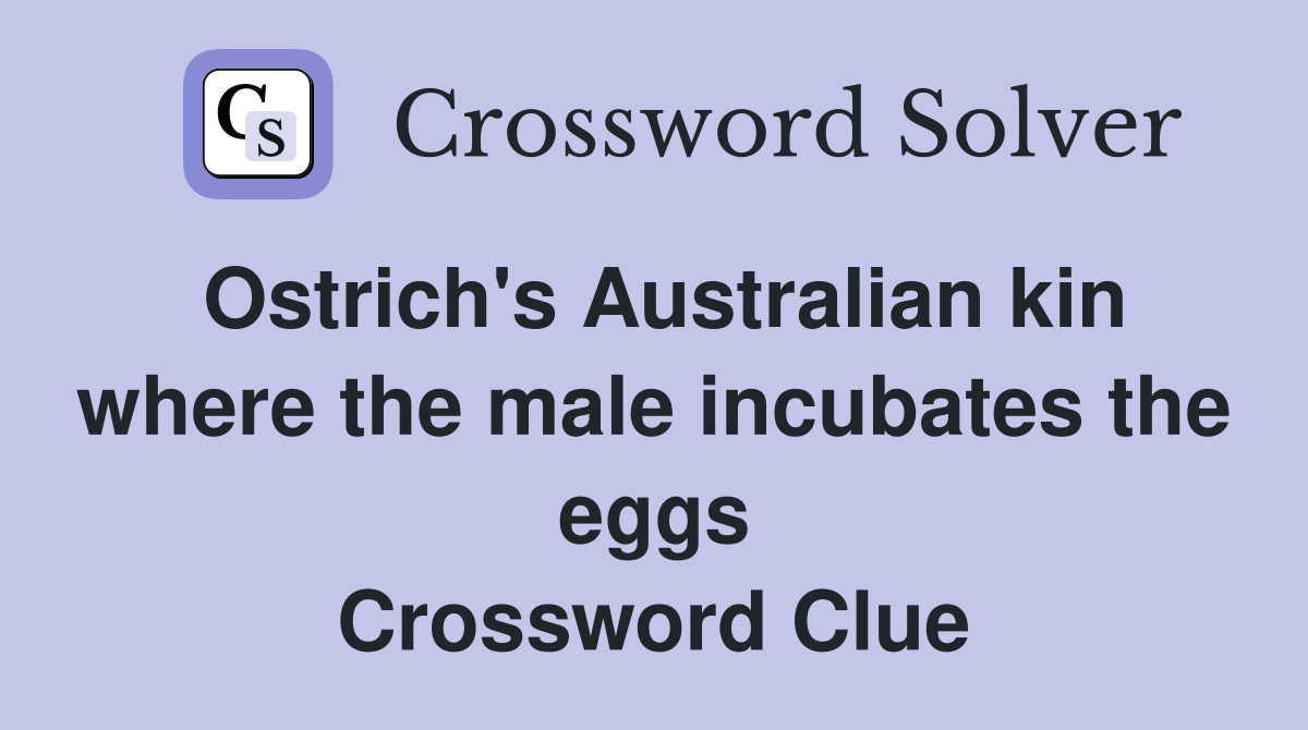 Ostrich's Australian kin where the male incubates the eggs Crossword Clue