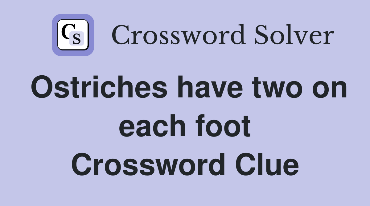 Ostriches have two on each foot Crossword Clue