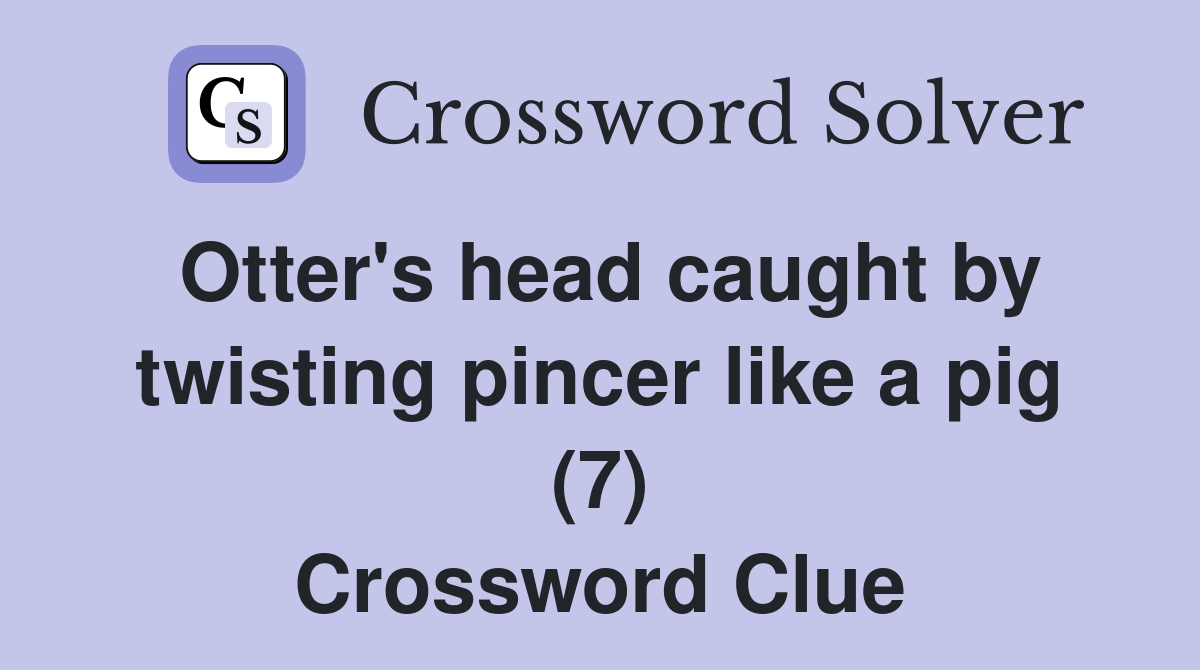 Otter's head caught by twisting pincer like a pig (7) Crossword Clue