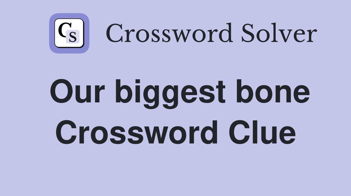 Our biggest bone Crossword Clue