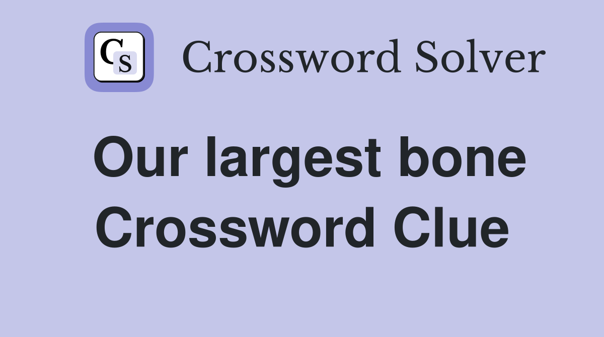 Our largest bone Crossword Clue