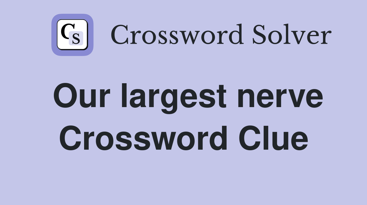 Our largest nerve Crossword Clue