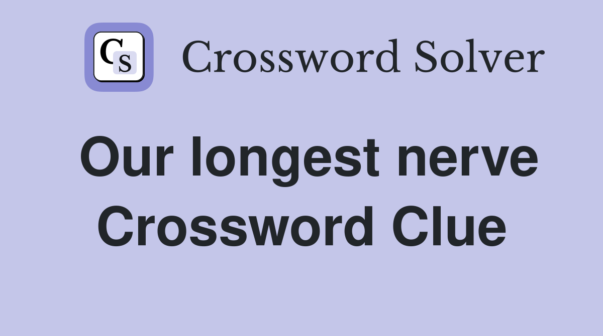 Our longest nerve Crossword Clue