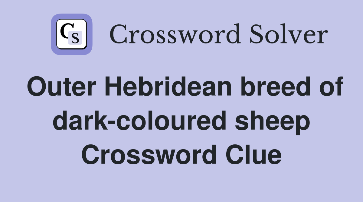 Outer Hebridean breed of dark-coloured sheep Crossword Clue