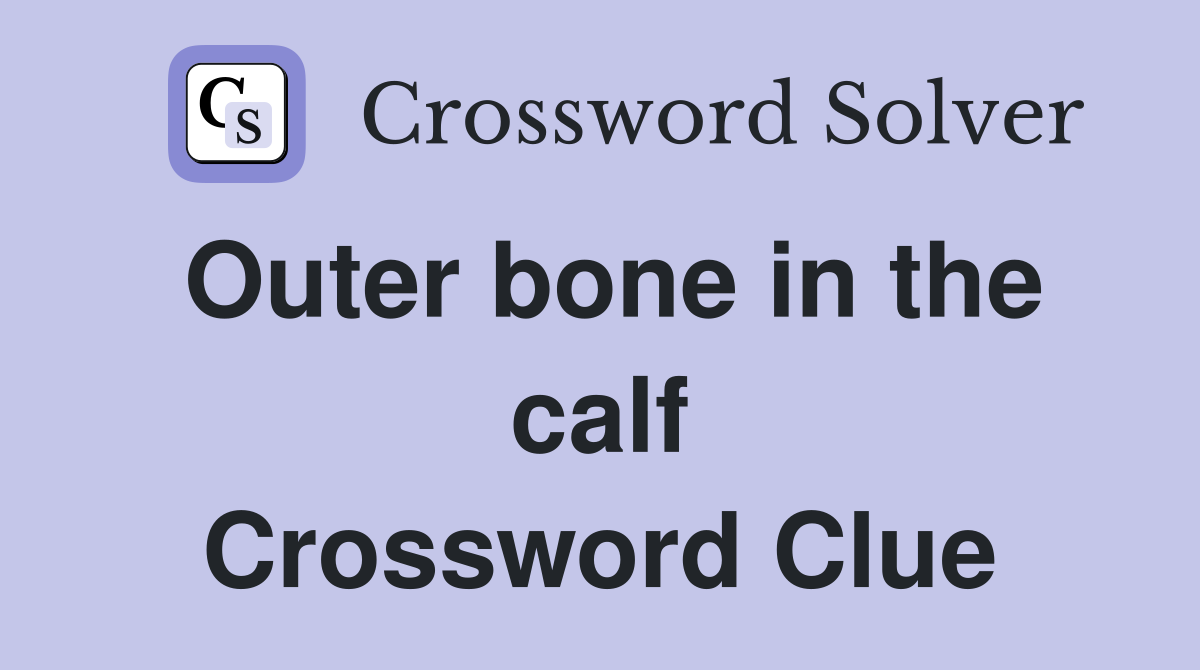Outer bone in the calf Crossword Clue