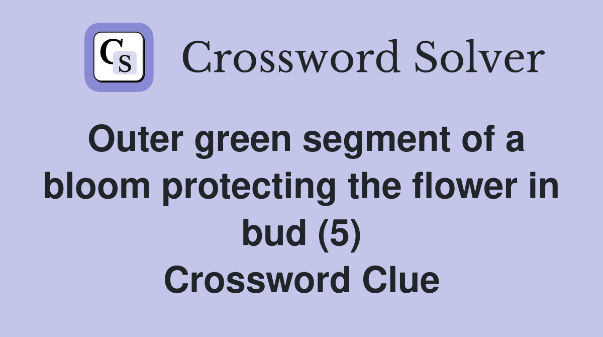 Outer green segment of a bloom protecting the flower in bud (5) Crossword Clue