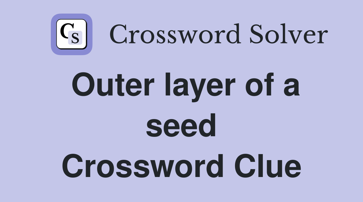 Outer layer of a seed Crossword Clue