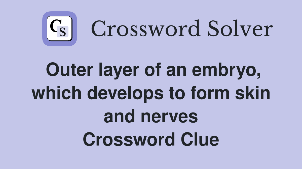 Outer layer of an embryo, which develops to form skin and nerves Crossword Clue