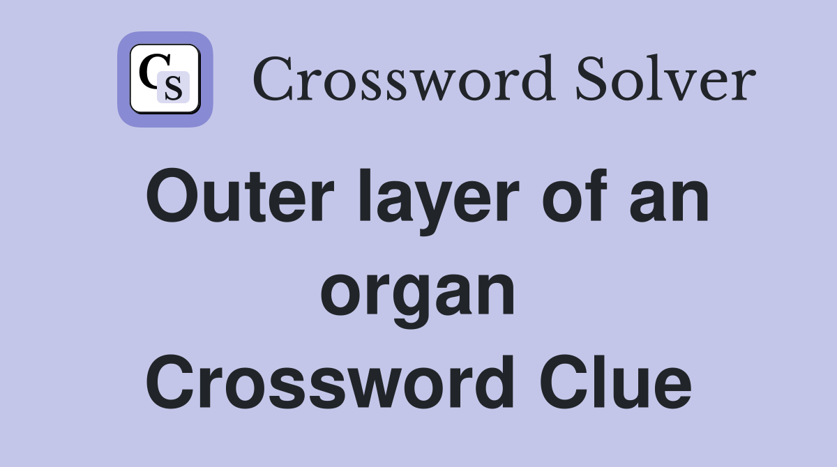 Outer layer of an organ Crossword Clue