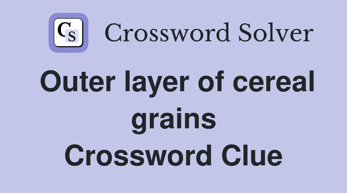 Outer layer of cereal grains Crossword Clue
